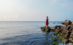 七妹在线观看免费视频